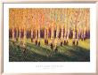 Aspen Light (Right) by Gary Max Collins Limited Edition Pricing Art Print