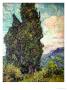 Cypresses, C.1889 by Vincent Van Gogh Limited Edition Print