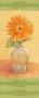 Orange Gerbera by Tim Coffey Limited Edition Pricing Art Print