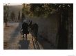 A Woman And Her Donkey Walk Down A Street In Pyrgi, Greece by Tino Soriano Limited Edition Print