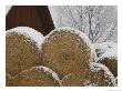 Snow Dusts Rolls Of Hay by Mattias Klum Limited Edition Pricing Art Print