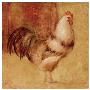 Pattern Rooster I by Gosia Gajewska Limited Edition Print