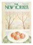 The New Yorker Cover - November 28, 1970 by Charles E. Martin Limited Edition Print