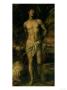 St. Sebastian, Circa 1570 by Titian (Tiziano Vecelli) Limited Edition Print