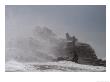 Storm Waves Crash Over California Sea Lions by Ralph Lee Hopkins Limited Edition Print