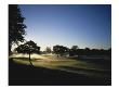 Oakland Hills Country Club, Hole 18, Early Morning by Stephen Szurlej Limited Edition Print
