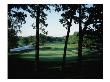 Olympia Fields Country Club North Course, Hole 9 by Stephen Szurlej Limited Edition Print