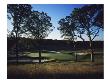 Bethpage State Park Black Course, 17Th Hole's Bunker by Stephen Szurlej Limited Edition Print