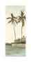 Trish's Palms I by Chariklia Zarris Limited Edition Pricing Art Print