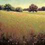 Poppy Fields Ii by James Wiens Limited Edition Print