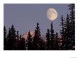 Moonrise In Early Winter, Chugach Range, Alaska, Usa by Paul Souders Limited Edition Print