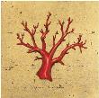 Red Coral Iv by Marco Fabiano Limited Edition Print