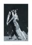 Midnight Tango by Terence Gilbert Limited Edition Pricing Art Print