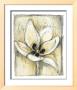 Kinetic Blooms Iii by Jennifer Goldberger Limited Edition Print