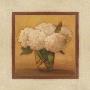 White Hydrangea Ii by Donna Harkins Limited Edition Pricing Art Print