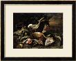 Still Life With A Hare, Song Birds And A Bird Net With A Spaniel Beyond by Jan Fyt Limited Edition Print
