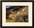 Tiger And Lion by Eugene Delacroix Limited Edition Pricing Art Print