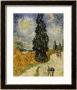 Road With Cypresses, 1890 by Vincent Van Gogh Limited Edition Print