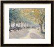 Hyde Park, London, 1890 by Camille Pissarro Limited Edition Print