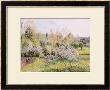 Apple Trees In Blossom, Eragny, 1895 by Camille Pissarro Limited Edition Print