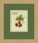 Bookplate Strawberries by Susan Eby Glass Limited Edition Print