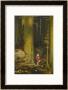 Little Girl In Big Forest by Hugo Grimm Limited Edition Pricing Art Print