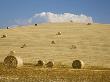 Italy, Tuscany, Bales Of Straw On Corn Fields by Fotofeeling Limited Edition Pricing Art Print