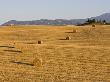 Italy, Tuscany, Bales Of Straw On Corn Field, Farmstead In Background by Fotofeeling Limited Edition Print