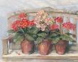 Primroses On Bench by Carol Rowan Limited Edition Pricing Art Print