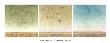 Terranumena Triptych by Atom Johnson Limited Edition Print