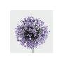 Purple Allium by Evan Sklar Limited Edition Pricing Art Print