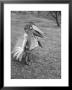 Bird Toy Made To Wear For Children By Charles Eames by Allan Grant Limited Edition Print