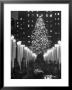Rockefeller Center Christmas Tree At Night by Alfred Eisenstaedt Limited Edition Pricing Art Print
