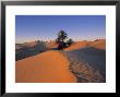 Sahara Desert, Douz, Tunisia by Jon Arnold Limited Edition Pricing Art Print