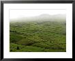 Siera Do Cume, Terceira Island, Azores, Portugal, Europe by De Mann Jean-Pierre Limited Edition Print