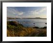 Ramsey Sound From St. Justinian's, Pembrokeshire Coast National Park, Wales, United Kingdom by Rob Cousins Limited Edition Print