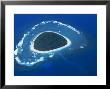 Aerial View, Reef Formation And Island, Fiji, South Pacific Islands by Lousie Murray Limited Edition Pricing Art Print