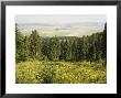 Hiking Area, Alpine Meadow Summer Flowers, Slovensky Raj, Paradise National Park, Slovakia by Christian Kober Limited Edition Print