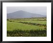 County Wicklow, Leinster, Republic Of Ireland (Eire) by Sergio Pitamitz Limited Edition Print