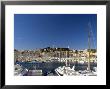 Old City And Tourist Harbour, Cannes, Alpes-Maritimes, Cote D'azur, French Riviera, France by Sergio Pitamitz Limited Edition Print