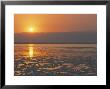 Sunset On The Dead Sea, Jordan, Middle East by Alison Wright Limited Edition Print