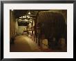 Fermentation Vats In Winery, Domaine Saint Martin De La Garrigue, Montagnac by Per Karlsson Limited Edition Print