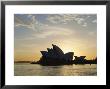 The Sydney Opera House In The Evening, Sydney, New South Wales, Australia by Adina Tovy Limited Edition Print
