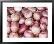 Onions On A Market Stall by Amanda Hall Limited Edition Pricing Art Print