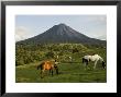 Arenal Volcano From The La Fortuna Side, Costa Rica by Robert Harding Limited Edition Print