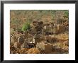 Mud Village, Sanga Region, Dogon, Mali, Africa by Bruno Morandi Limited Edition Pricing Art Print