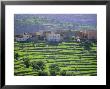 Terraced Landscape, Taroudant, Morocco, North Africa by Bruno Morandi Limited Edition Print