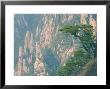Rocks And Pine Trees, White Cloud Scenic Area, Huang Shan (Yellow Mountain), Anhui Province, China by Jochen Schlenker Limited Edition Pricing Art Print