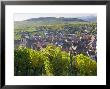 Old Wine Town Of Riquewihr And Vineyard, Alsace, France by Peter Adams Limited Edition Print