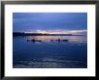 Sea Kayakers Near Cooks Beach, Freycinet National Park, Tasmania, Australia by Grant Dixon Limited Edition Pricing Art Print